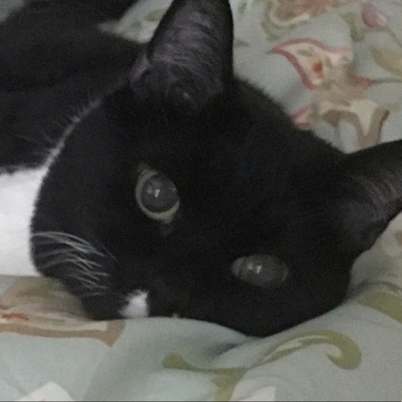 Meet your Posher, Lisa - Picture 1 of 1